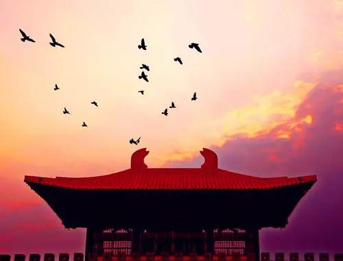 放生的意义1_20181016204923.jpg 放生的意义1_20181016204923.jpg