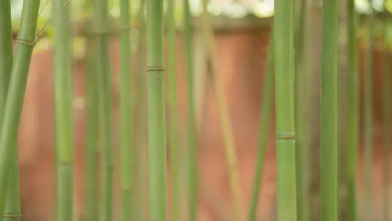 自净其心,是诸佛教3.jpg 自净其心,是诸佛教3.jpg