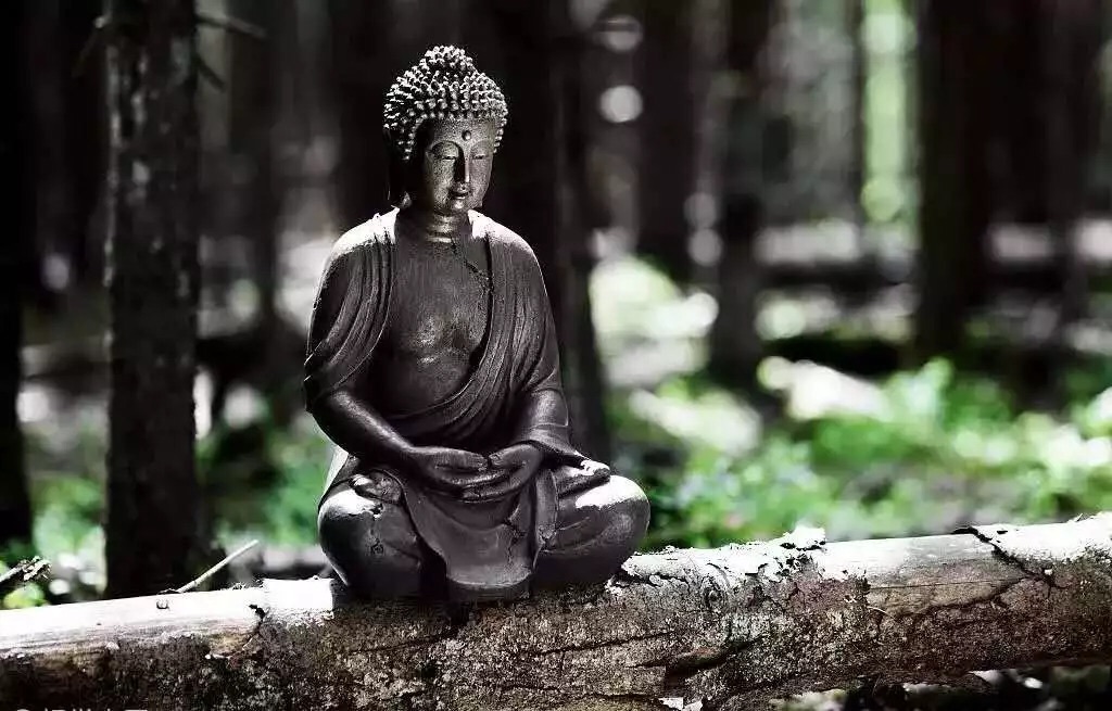 微信图片_20181018215036.jpg 微信图片_20181018215036.jpg