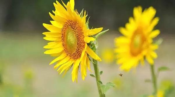 微信图片_20190131222046.jpg 微信图片_20190131222046.jpg