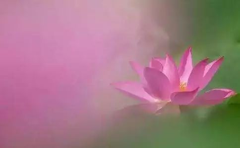 191922.jpg 191922.jpg