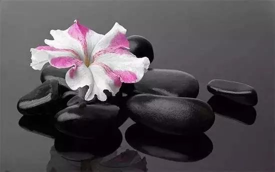 191925.jpg 191925.jpg