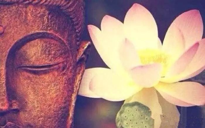 191938.jpg 191938.jpg