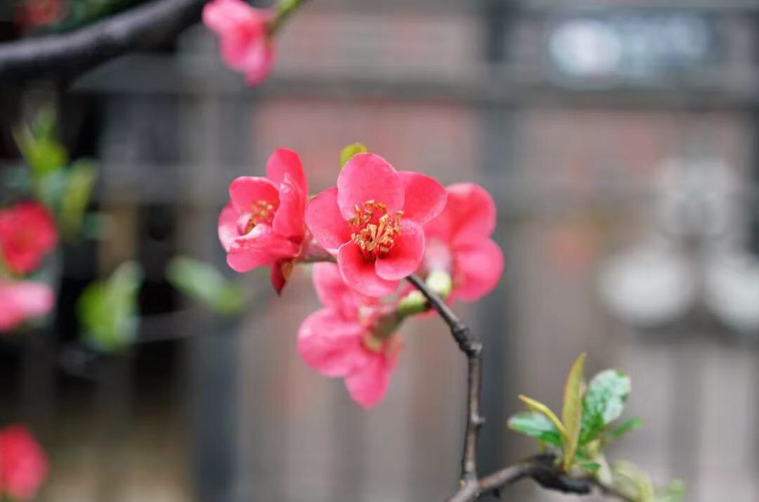 微信图片_20190423211322.jpg 微信图片_20190423211322.jpg