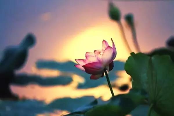 微信图片_20190423213903.jpg 微信图片_20190423213903.jpg