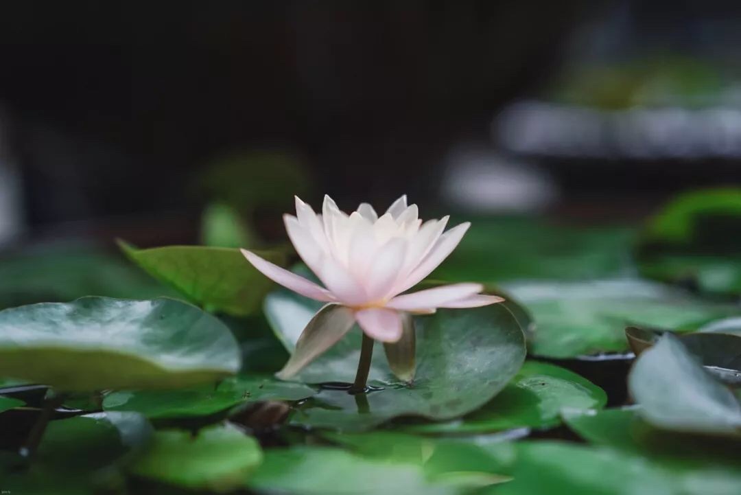 微信图片_20190509230406.jpg 微信图片_20190509230406.jpg