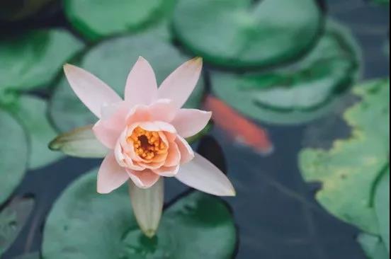 微信图片_20190601212544.jpg 微信图片_20190601212544.jpg