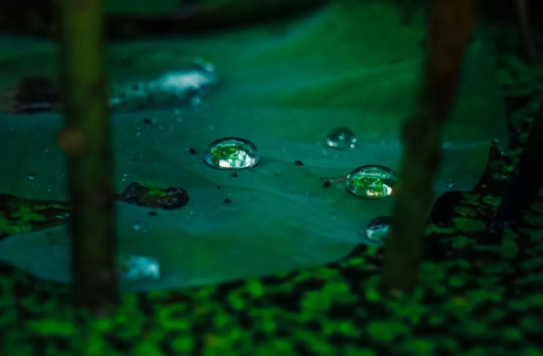 微信图片_20190731182225.jpg 微信图片_20190731182225.jpg