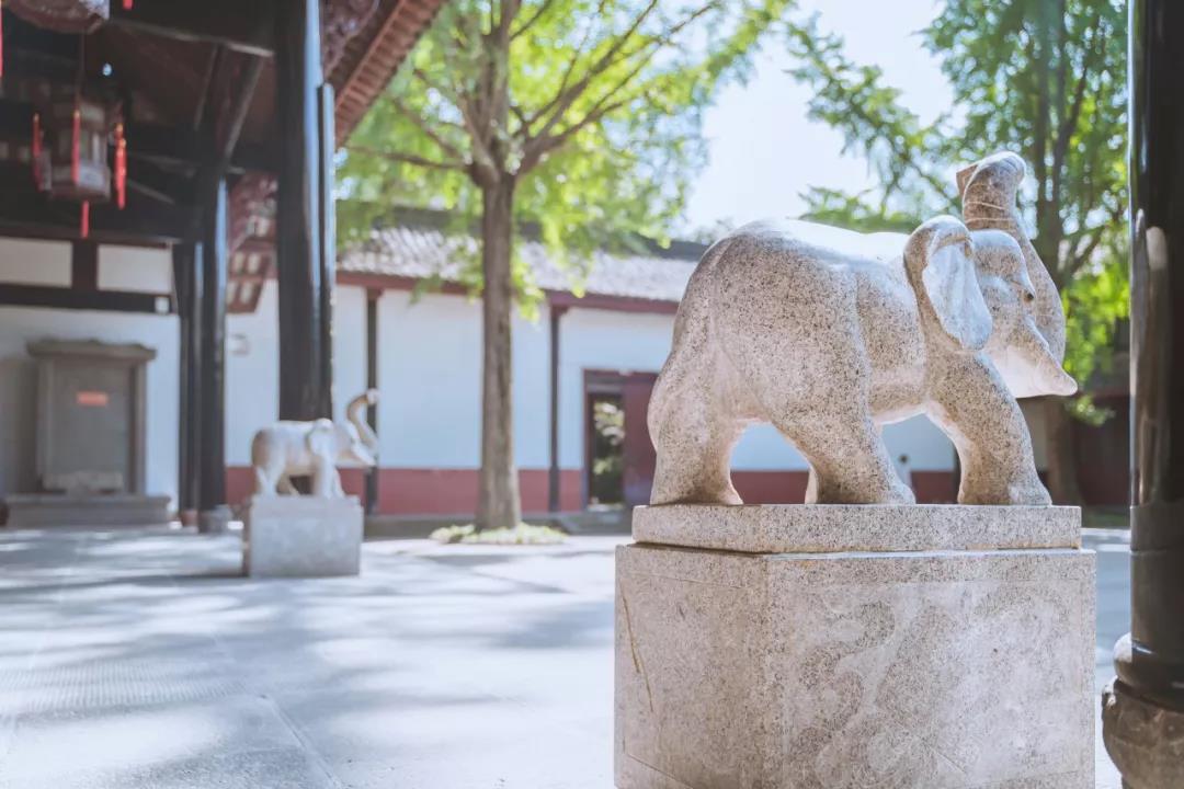 微信图片_20190806112931.jpg 微信图片_20190806112931.jpg