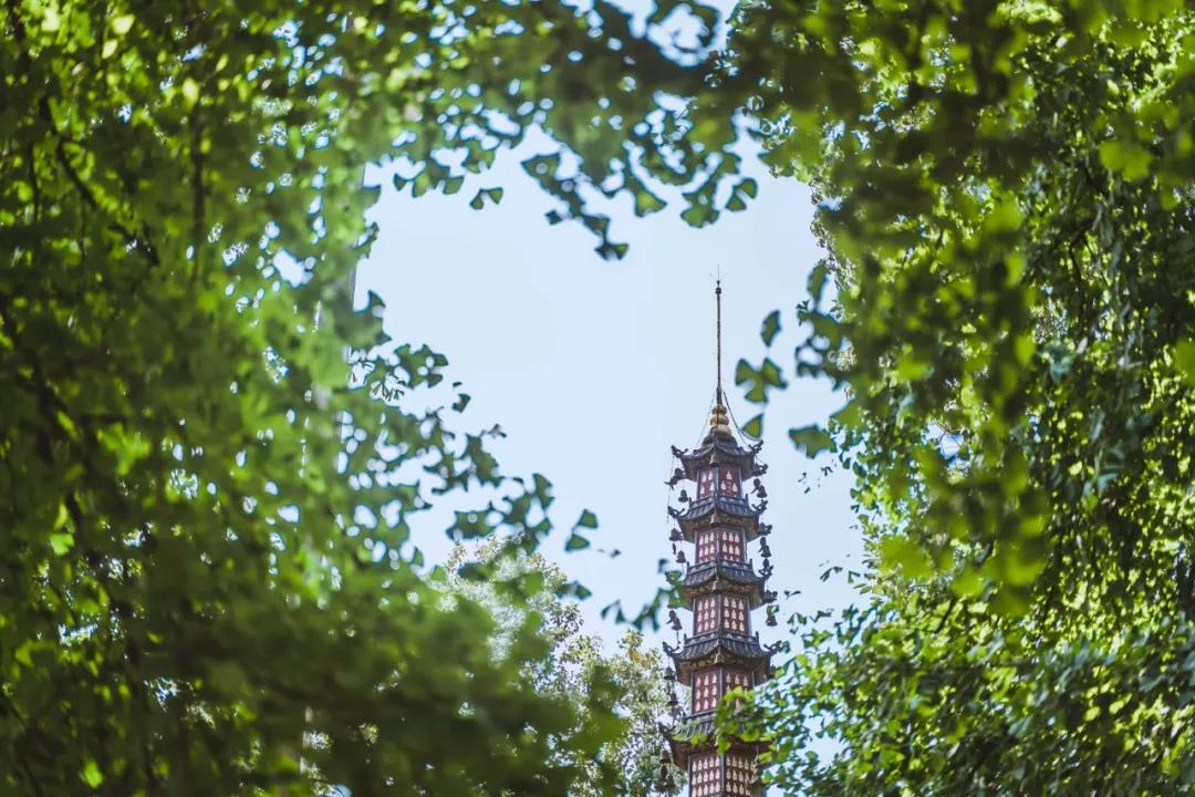 微信图片_20190806112913.jpg 微信图片_20190806112913.jpg