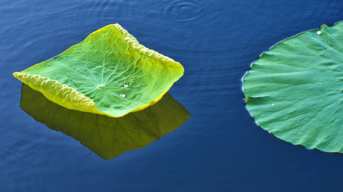 1536411141.jpg 1536411141.jpg