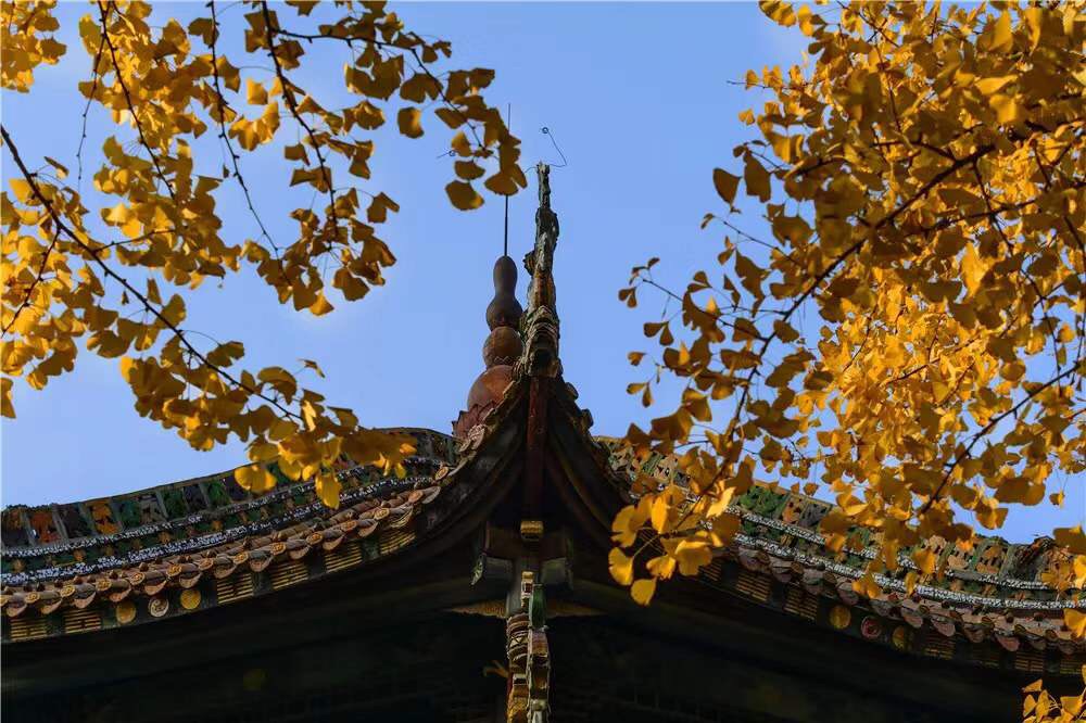 微信图片_20191213224224.jpg 微信图片_20191213224224.jpg