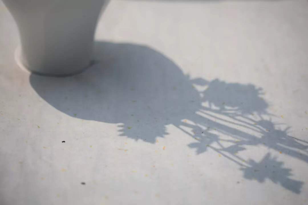 微信图片_20191218202939.jpg 微信图片_20191218202939.jpg