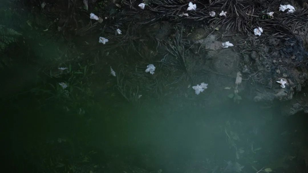 微信图片_20200506232414.jpg 微信图片_20200506232414.jpg