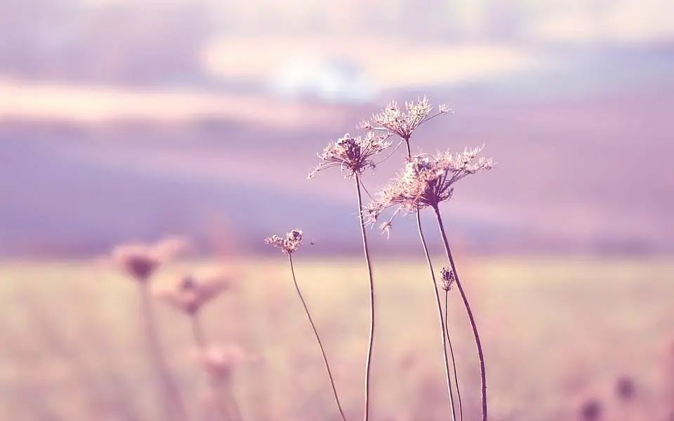 微信图片_20200812222023.jpg 微信图片_20200812222023.jpg