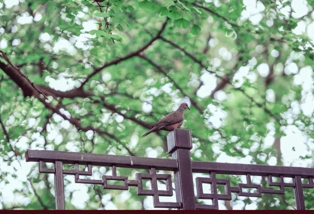 640.webp (57).jpg 640.webp (57).jpg