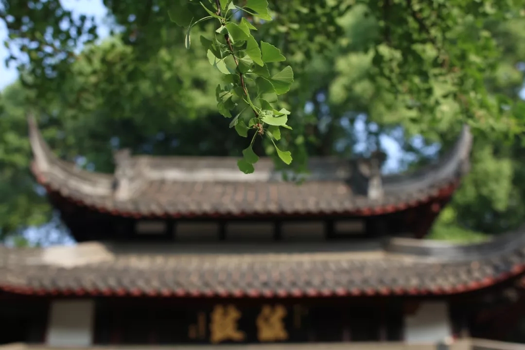 640.webp (61).jpg 640.webp (61).jpg