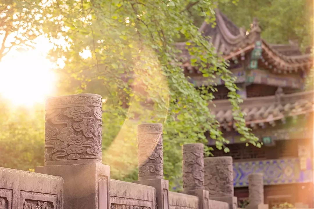 640.webp (65).jpg 640.webp (65).jpg