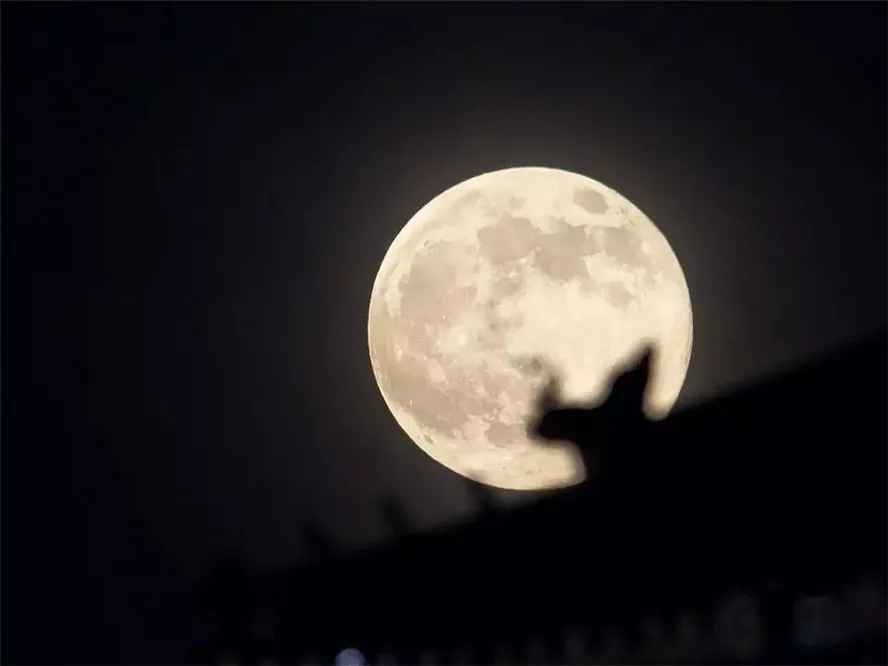 640.webp (68).jpg 640.webp (68).jpg