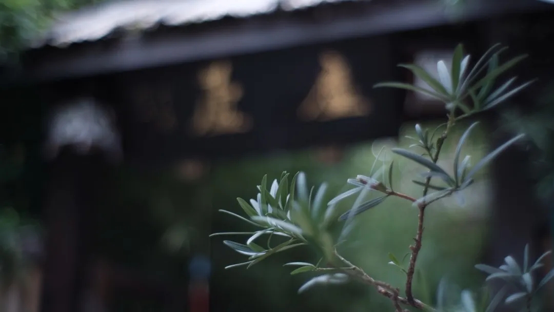 640.webp (77).jpg 640.webp (77).jpg