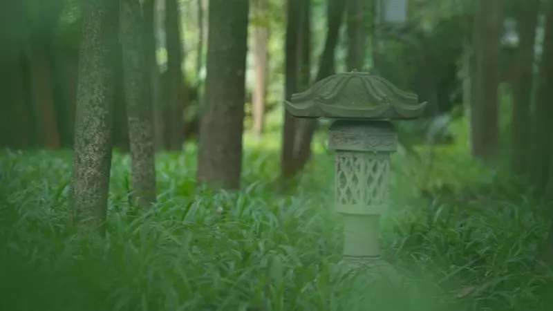 640.webp (87).jpg 640.webp (87).jpg